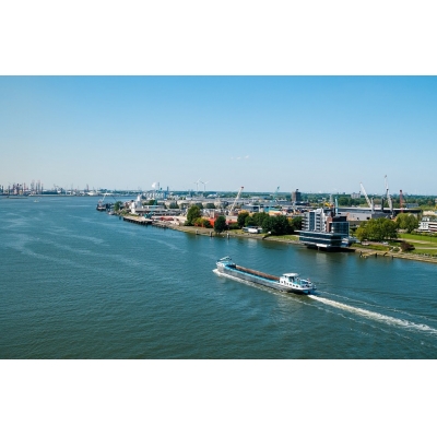 进口濒危物种证明