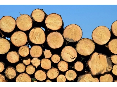 进口木材需要注意哪些问题？