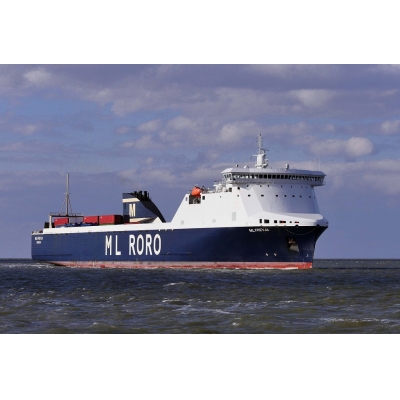 自动进口许可证