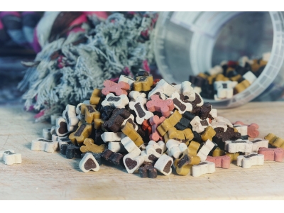 速看，宠物粮食进口流程来喽！