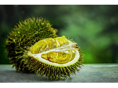 想要进口榴莲？这些知识点你一定要知道