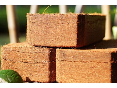 椰糠砖进口案例
