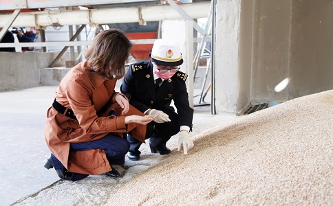 进口报关就找欣卓供应链