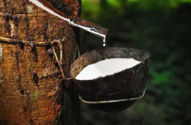 进口报关就找欣卓供应链