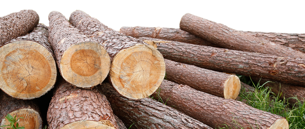 进口报关就找欣卓供应链