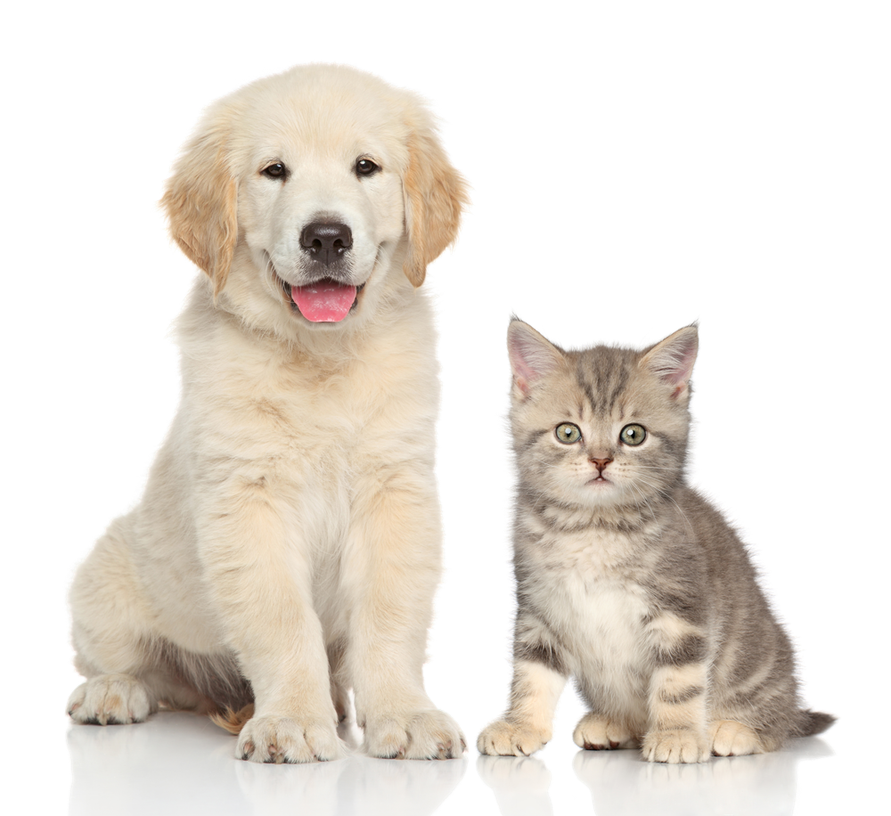 进口报关就找欣卓供应链