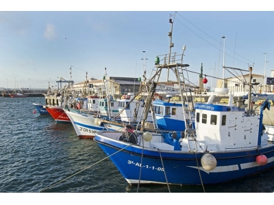 食品原料清关公司代理操作要多久？一般贸易清关时转关手续怎么办？